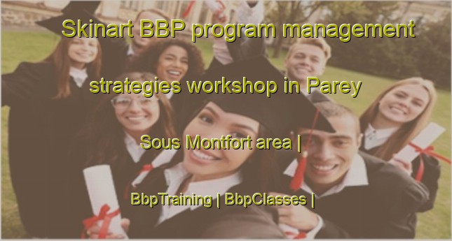 Skinart BBP program management strategies workshop in Parey Sous Montfort area | BbpTraining | BbpClasses | SkinartTraining-France